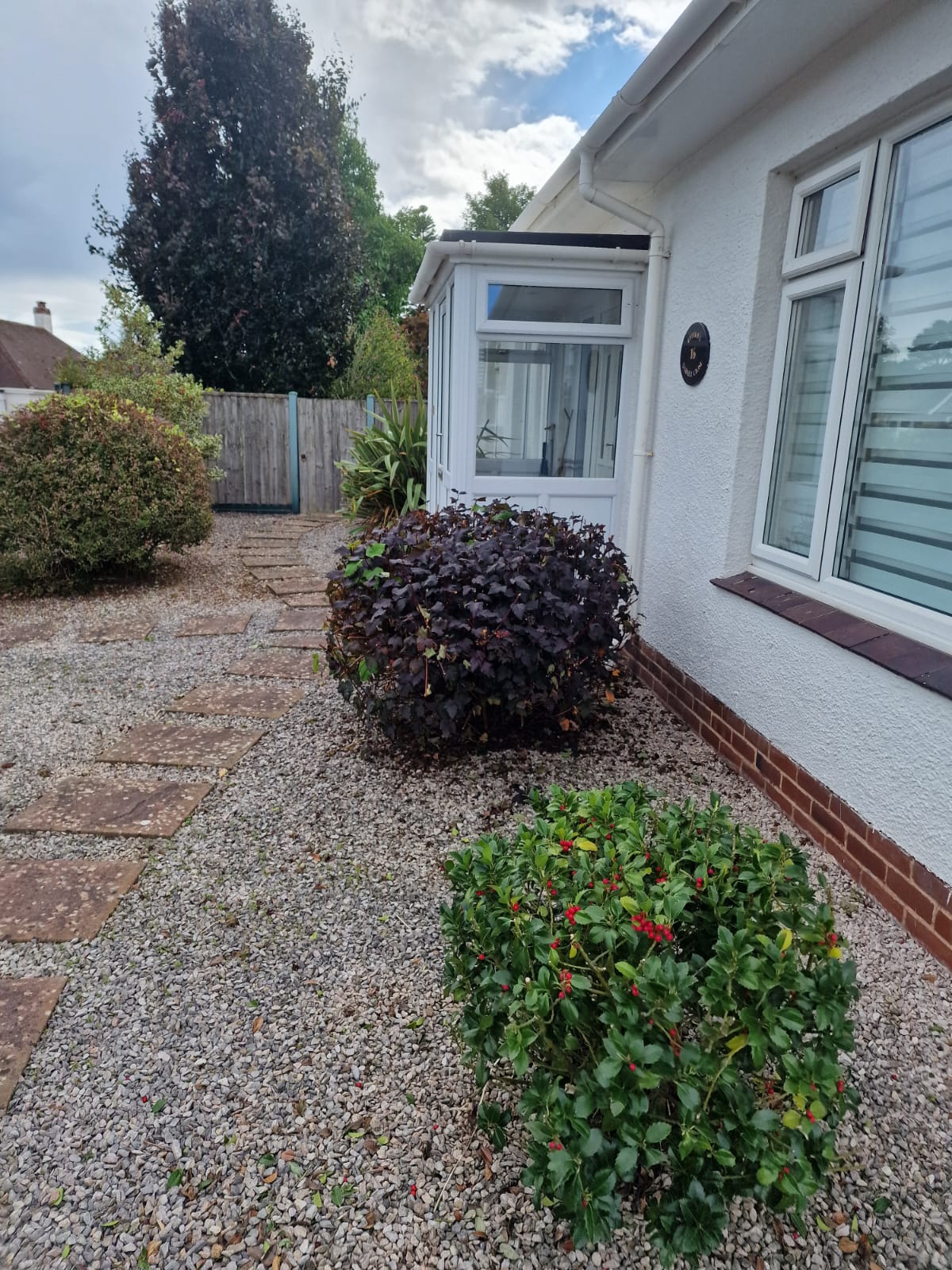 Garden after professional cleanup and restoration